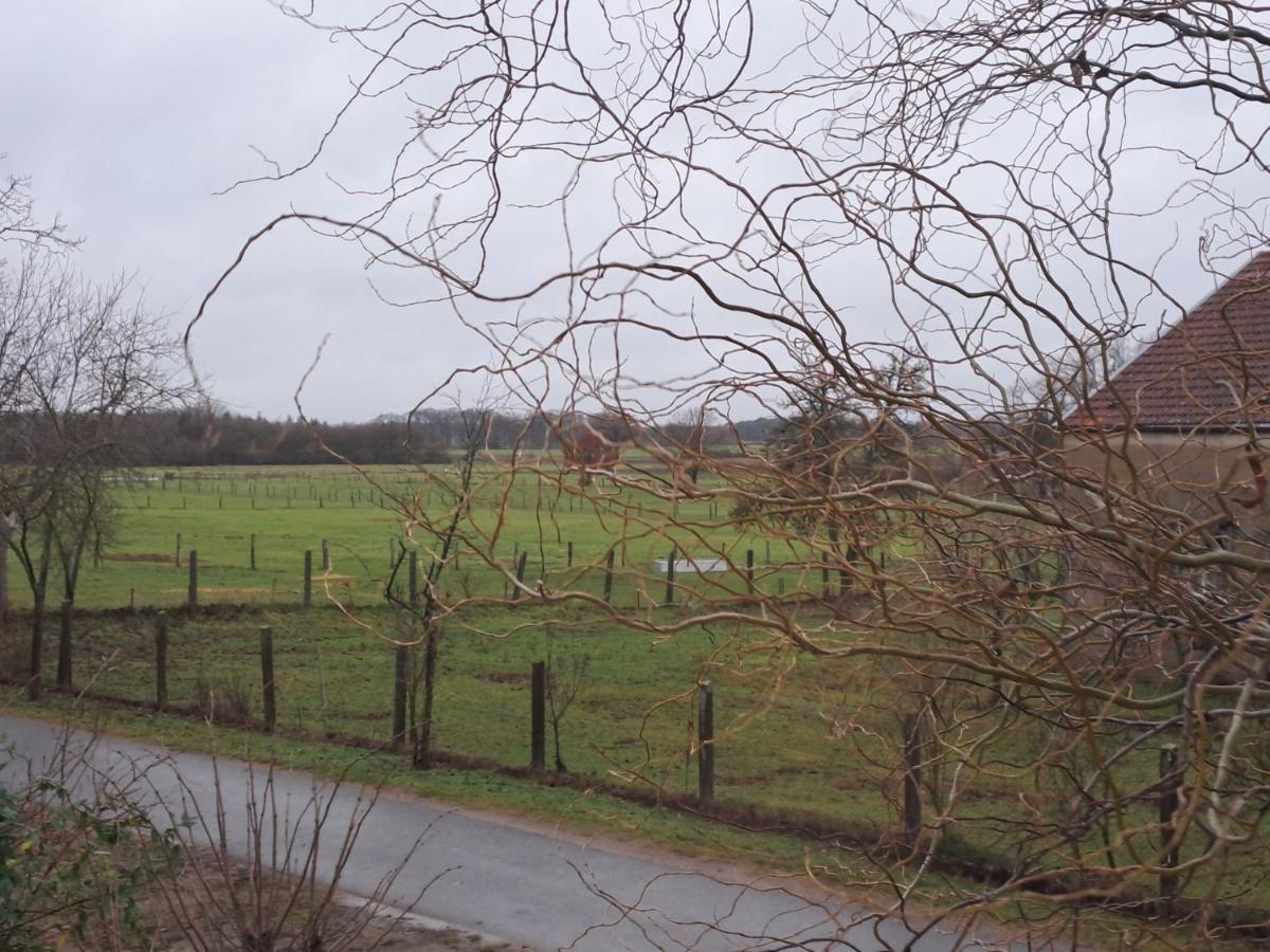 Gnaden- Und Ferienhof Saale Wittgenstein In The Middle Of Gar Nix Bismark 外观 照片