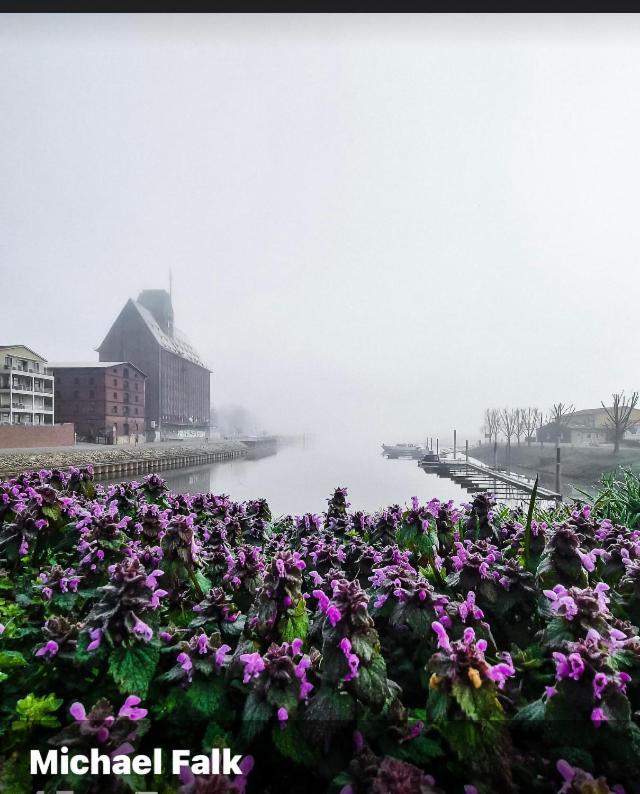 Gnaden- Und Ferienhof Saale Wittgenstein In The Middle Of Gar Nix Bismark 外观 照片