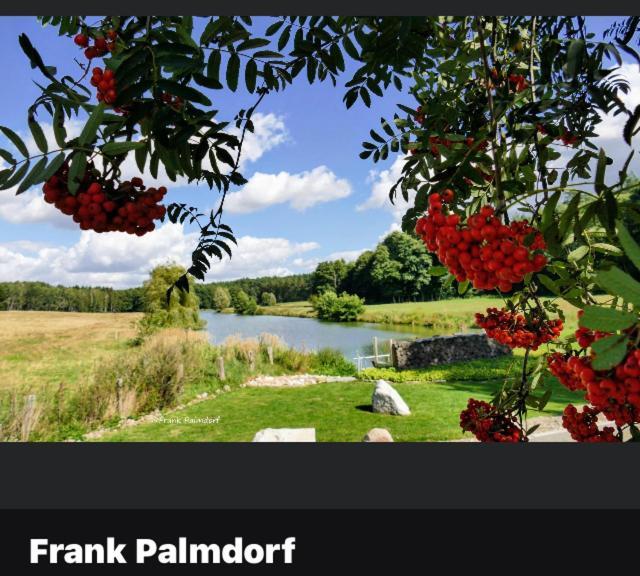 Gnaden- Und Ferienhof Saale Wittgenstein In The Middle Of Gar Nix Bismark 外观 照片